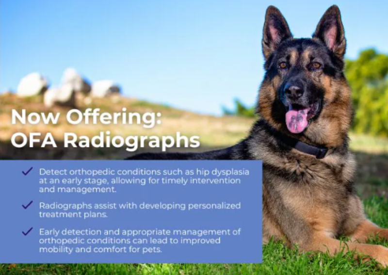 Carousel Slide 2: Now offering OFA Radiographs! Essential for diagnosing orthopedic health