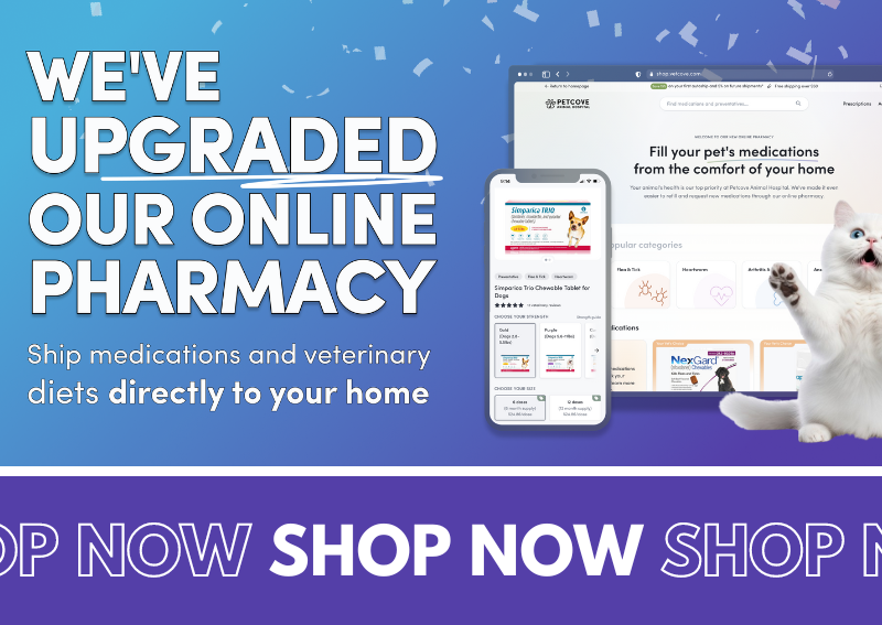 Carousel Slide 4: We've updated our online pet pharmacy!